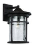 Trans Globe Avalon Crackled Glass Armed Outdoor Wall Model: 40381 BK