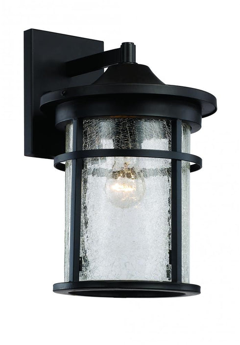 Trans Globe Avalon Crackled Glass Armed Outdoor Wall Model: 40382 BK