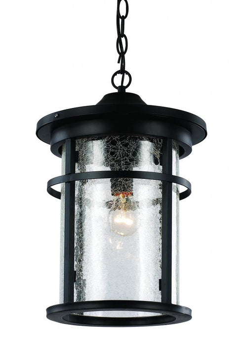 Trans Globe Avalon Crackled Glass Outdoor Hanging Pendant Model: 40385 RT
