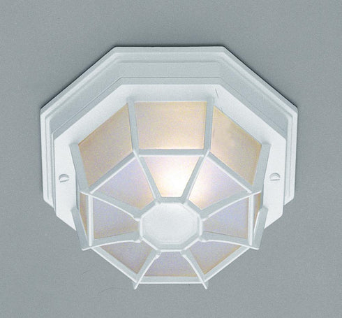 Trans Globe Benkert 1 Light FLUSH SPIDER SML OUTD FROS in Black Finish Model: 40581 BK