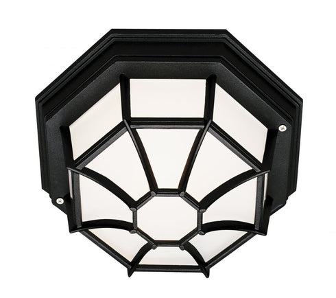 Trans Globe Benkert 1 Light FLUSH SPIDER SML OUTD FROS in Black Finish Model: 40581 BK