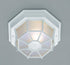 Trans Globe Benkert 1 Light Weblike Design Enclosed Flush Model: 40581 BG