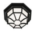 Trans Globe Benkert 1 Light Weblike Design Enclosed Flush Model: 40581 BG