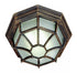 Trans Globe Benkert 1 Light Weblike Design Enclosed Flush Model: 40581 BG