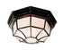 Trans Globe Benkert 1 Light Weblike Design Enclosed Flush Model: 40582 BC