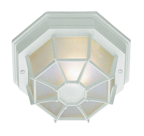 Trans Globe Benkert 1 Light Weblike Design Enclosed Flush Model: 40582 BC