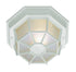 Trans Globe Benkert 1 Light Weblike Design Enclosed Flush Model: 40582 BC