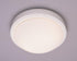 Trans Globe Bliss 11 Inch Flushmount Model: 13880 WH