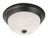 Trans Globe Bowers 2 Light FLUSH SML WHITE FROST GLAS in Brushed Nickel Finish Model: 13717 BN