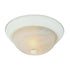 Trans Globe Browns 15 Inch Flushmount Model: 13619 AW