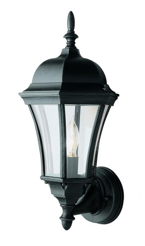Trans Globe Burlington 1 Light Armed Metal And Glass Model: 4502 SWI