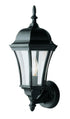 Trans Globe Burlington 1 Light Armed Metal And Glass Model: 4502 SWI