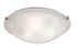 Trans Globe Constellation 20 Inch Flush Mount Indoor Ceiling Light in Brushed Nickel Finish Model: 58602 BN