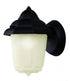 Trans Globe Dale 1 Light SM WALL DOWN OUTD in Black Finish Model: 4160 BK