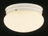 Trans Globe Dash 10 Inch Flushmount Model: 3620 WH