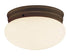 Trans Globe Dash 8 Inch Flushmount Model: 3618 WH