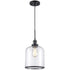 Trans Globe Dorina Single Light Clear Glass Mini Pendant Model: PND-2184 BK
