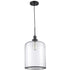 Trans Globe Dorina Single Light Clear Glass Mini Pendant Model: PND-2185 BK