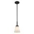 Trans Globe Fifer Pendant Lights in Black Model: 71800 BK