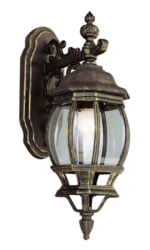 Trans Globe Francisco 1 Light Outdoor Beveled Glass Coach Model: 4053 BC