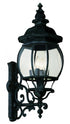 Trans Globe Francisco 4 Light Outdoor Beveled Glass Model: 4052 RT