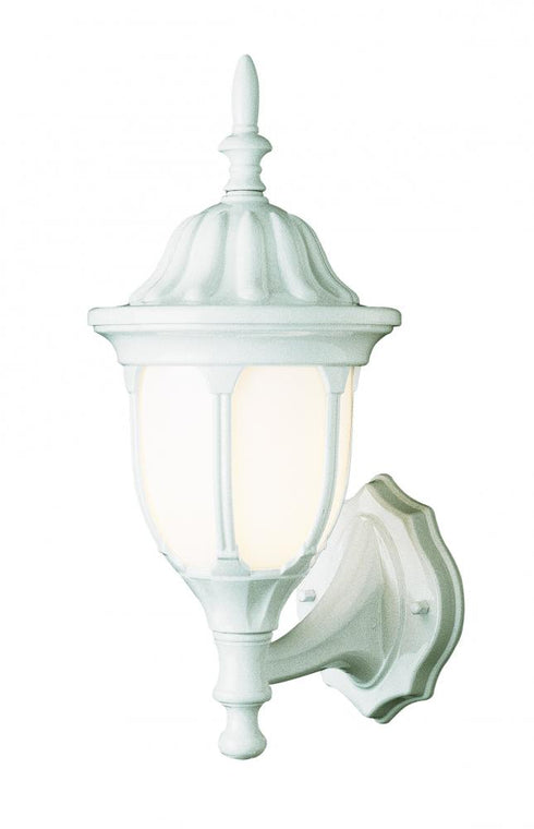 Trans Globe Hamilton 1 Light WALL MED OUTD OPAL GLASS in Black Finish Model: 4041 BK