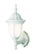 Trans Globe Hamilton 1 Light WALL MED OUTD OPAL GLASS in Black Finish Model: 4041 BK