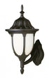 Trans Globe Hamilton 1 Light WALL MED OUTD OPAL GLASS in Black Finish Model: 4041 BK