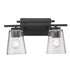 Trans Globe Iris Vanity Lighting Brushed Nickel Model: 22492 BN
