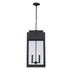 Trans Globe Marley Outdoor Hanging Lights in Black Model: 51526 BK