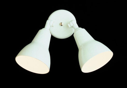 Trans Globe Mono Collection 2 Light 2 Shade Metal Outdoor Wall Spotlight in Black Finish Model: 6002 BK