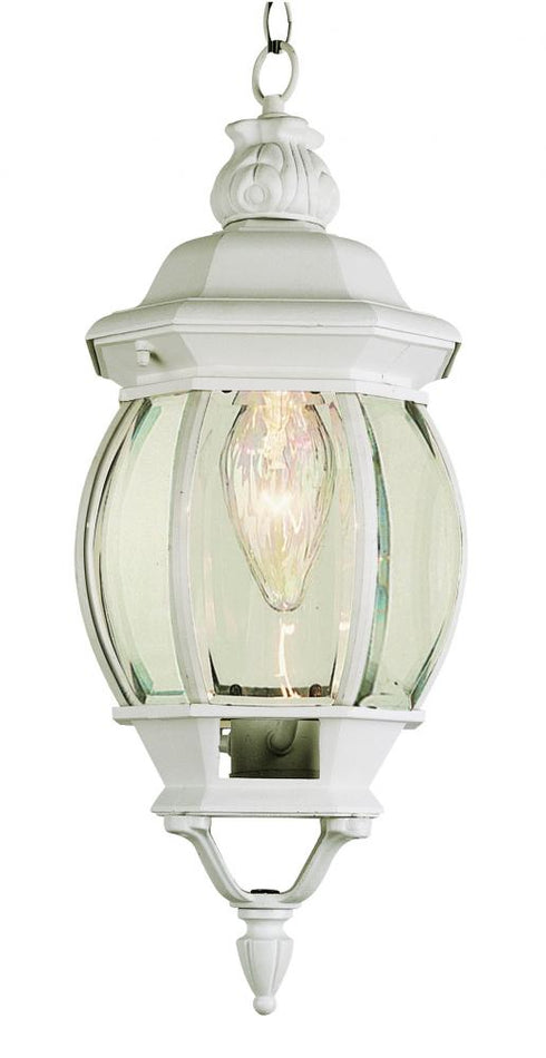 Trans Globe Parsons 1 Light SMALL HANGING LANTERN OUTD in Black Finish Model: 4065 BK