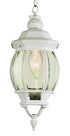 Trans Globe Parsons 1 Light SMALL HANGING LANTERN OUTD in Black Finish Model: 4065 BK