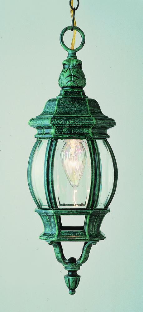 Trans Globe Parsons 1 Light SMALL HANGING LANTERN OUTD in Black Finish Model: 4065 BK