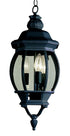 Trans Globe Parsons 3 Light MED HANGING LANTERN OUTD B in Black Finish Model: 4066 BK