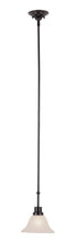 Trans Globe Perkins 1 Light Indoor Mini Pendant with Glass Bell Shade in Brushed Nickel Finish Model: 6548 BN