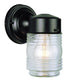 Trans Globe Quinn 1 Light Classic Glass Jar Shade Outdoor Model: 4900 BK