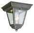 Trans Globe Robertson 1 Light Square Glass And Metal Model: 4903 BK