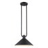 Trans Globe Roscoe 1 Light Industrial Pendant in Black Finish Model: 11761 BK