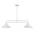Trans Globe Roscoe 2 Light Industrial Linear Pendant in Black Finish Model: 11763 BK
