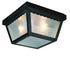 Trans Globe Samantha 2 Light Scalloped Edge Traditional Model: 4902 WH