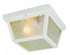 Trans Globe Samantha 2 Light Scalloped Edge Traditional Model: 4902 WH