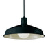 Trans Globe Sherman 15.5 Inch Pendant Model: 1100 WH
