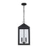 Trans Globe Tempest Outdoor Hanging Lights in Black Model: 51537 BK