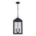 Trans Globe Tempest Outdoor Hanging Lights in Black Model: 51537 BK