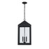 Trans Globe Tempest Outdoor Hanging Lights in Black Model: 51538 BK