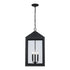 Trans Globe Tempest Outdoor Hanging Lights in Black Model: 51538 BK