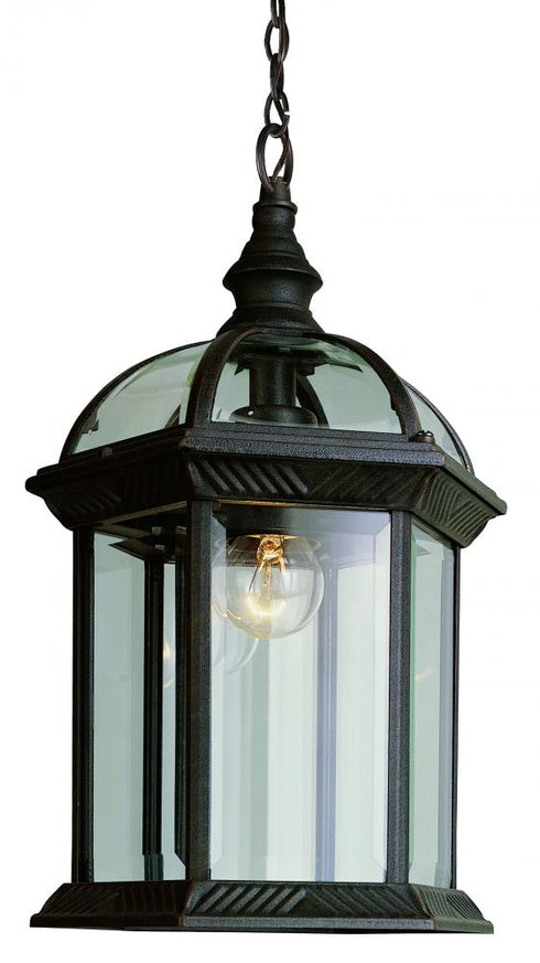 Trans Globe Wentworth 1 Light Atrium Style Outdoor Model: 4183 BC