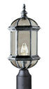 Trans Globe Wentworth 1 Light Atrium Style Post Mount Model: 4186 WH