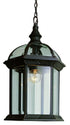 Trans Globe Wentworth 1 Light HANGING LANTERN BEVELED GL in Black Finish Model: 4183 BK